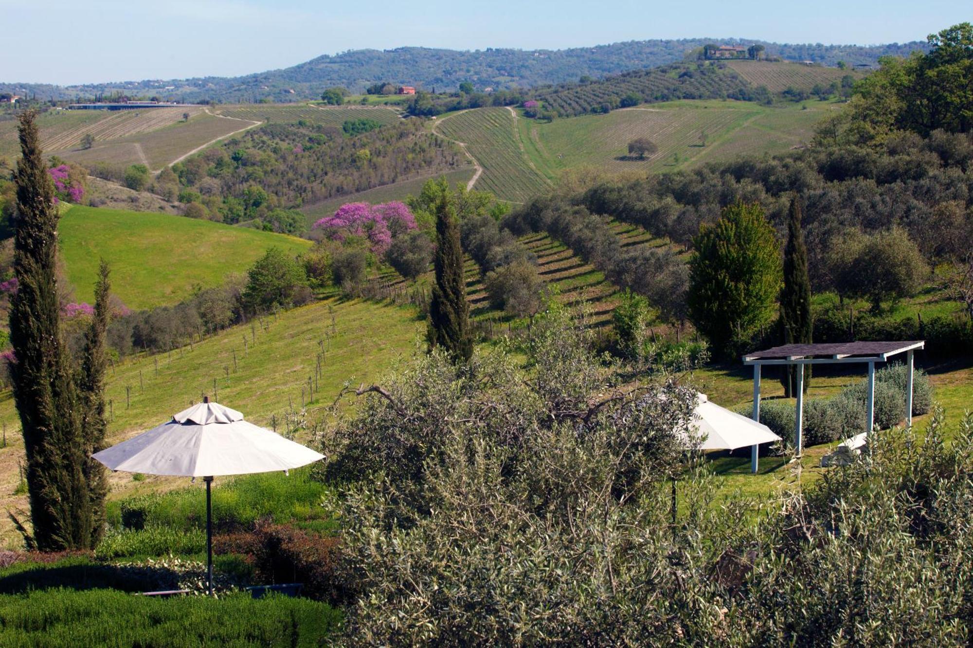Bed and Breakfast Casale Sterpeti Magliano in Toscana Exterior foto
