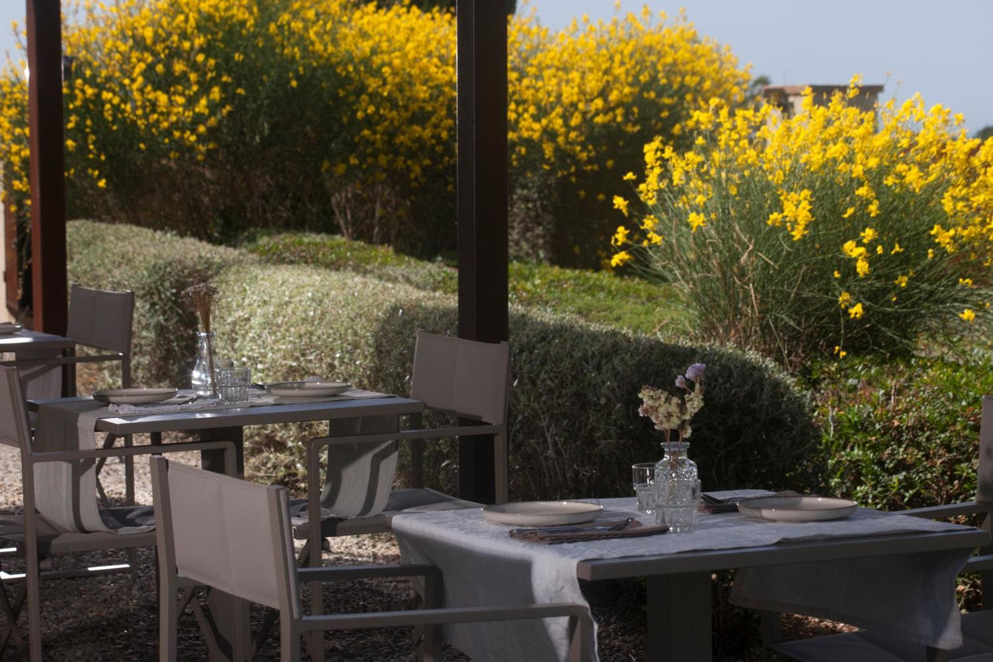 Bed and Breakfast Casale Sterpeti Magliano in Toscana Exterior foto